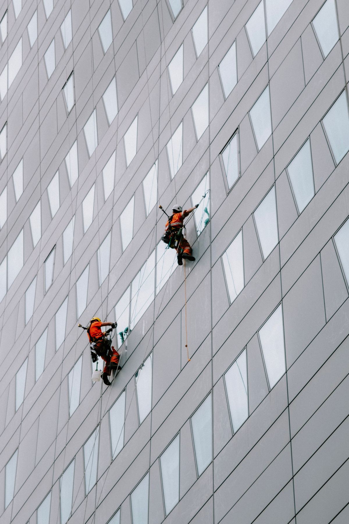 Rope-access cleaners on a building